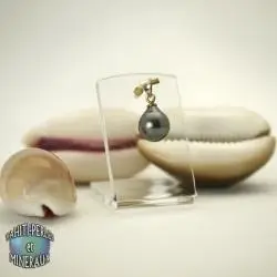 les pendentifs perles de Tahiti